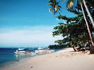 panglao beach