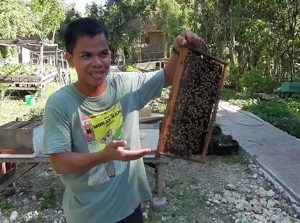 bohol bee farm