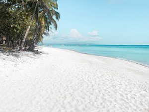 dumaluan beach panglao